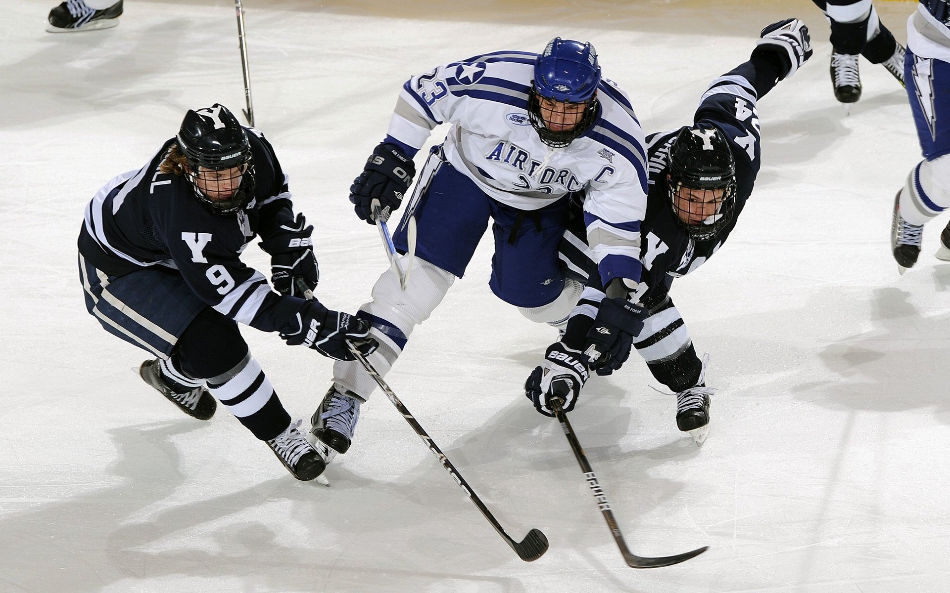 绿色环保：联盟持续推进低碳、可持续发展计划，绿色低碳循环可持续发展方式